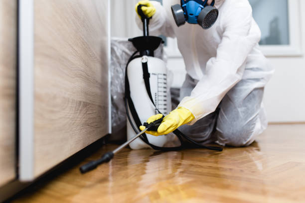 Best Mosquito Control Services  in Trenton, IL