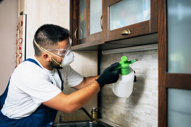 Flea Control Services in Trenton, IL