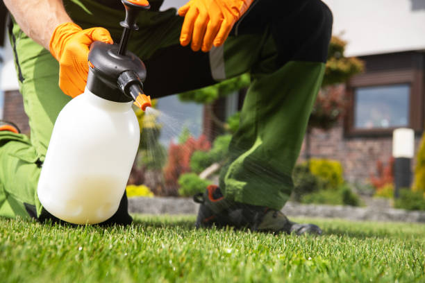 Best Pest Control Near Me  in Trenton, IL