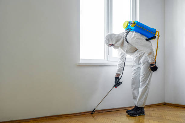 Best Bed Bug Extermination  in Trenton, IL