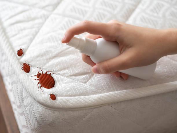 Best Ant Control Services  in Trenton, IL