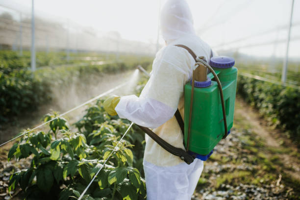 Best Rat Extermination Near Me  in Trenton, IL